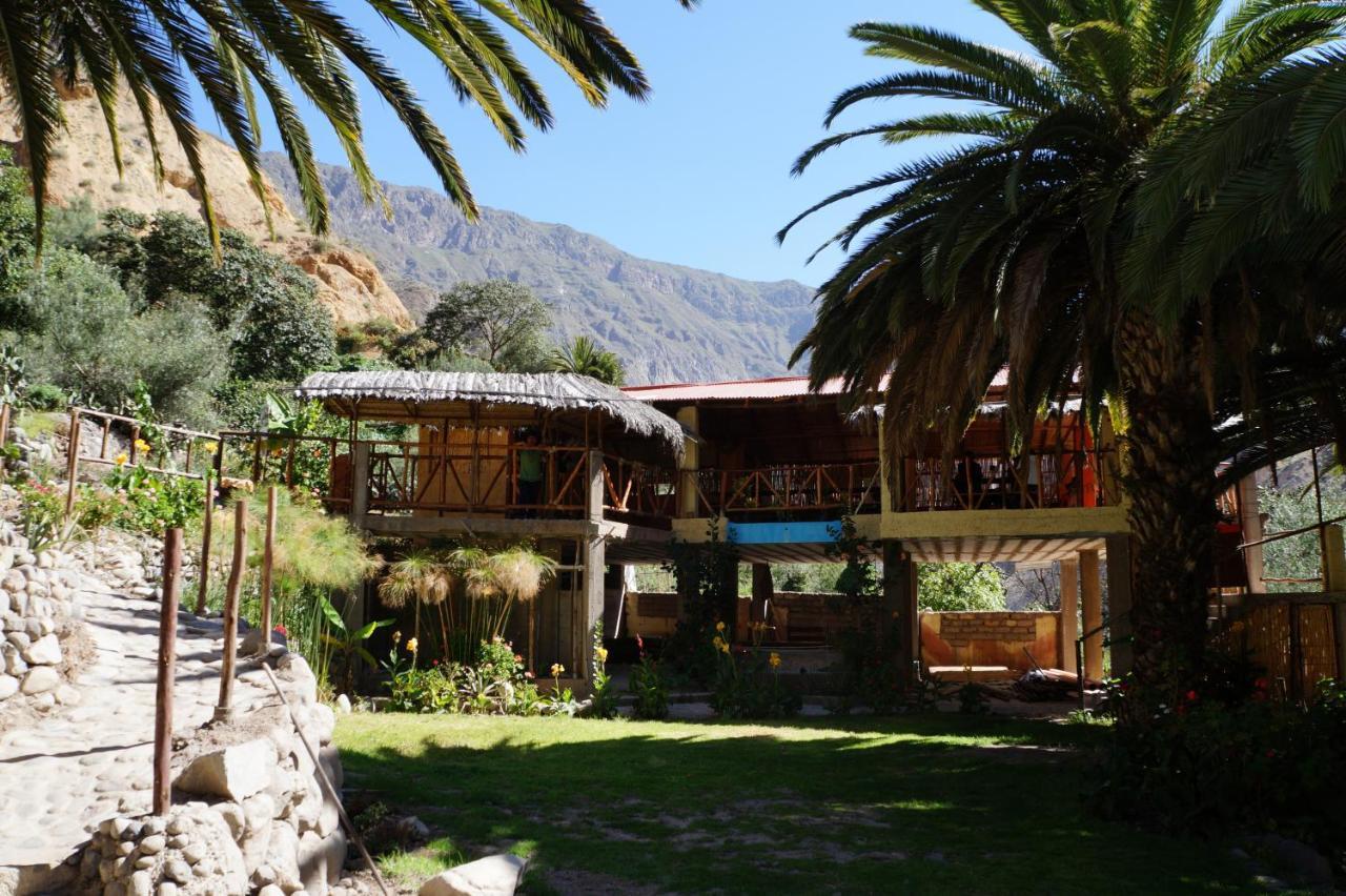 Paraiso Las Palmeras Lodge Cabanaconde Habitación foto